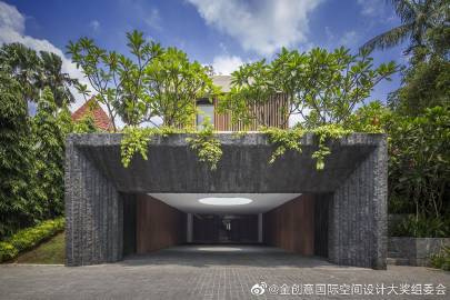 仙人掌16699