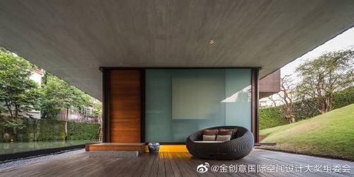 仙人掌16699